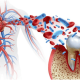 bleeding gums and diabetes