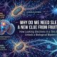 why do we need sleep